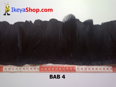 Bulu angsa BAB 4   feather  large2
